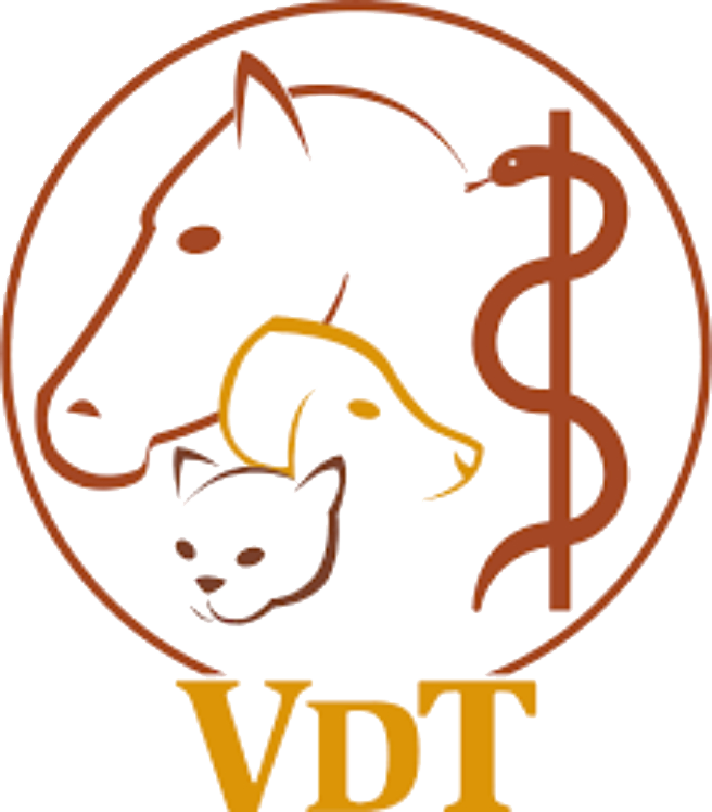 vdt logo v1